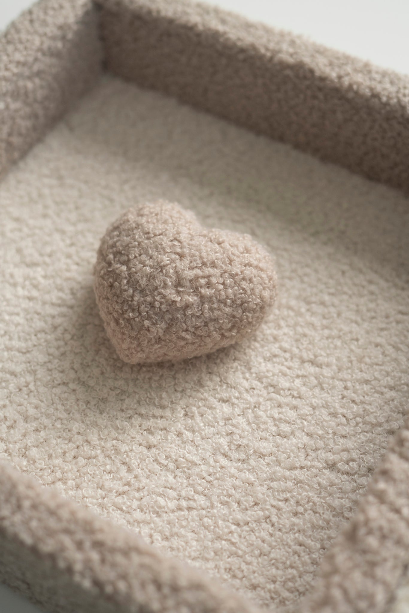 MINI TEDDY LOVE